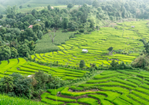 Chiang Mai, Thailand