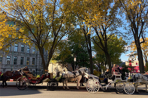 Quebec City