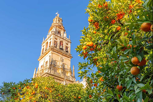 Giralda Bell Tower, Seville