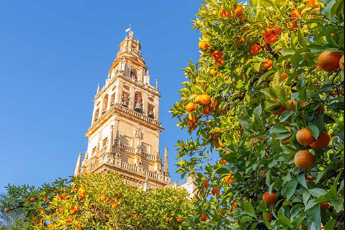 Turin Cafes Giralda Bell Tower, Seville