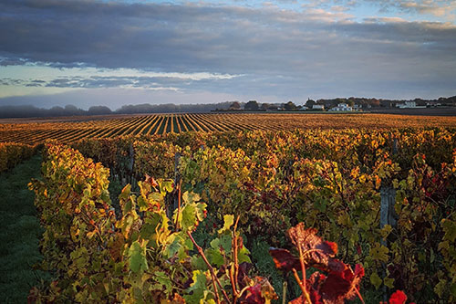 Bordeaux, France