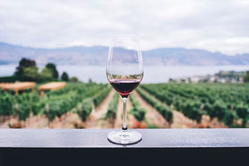 bordeaux-wine Quebec City with Adventurous Life