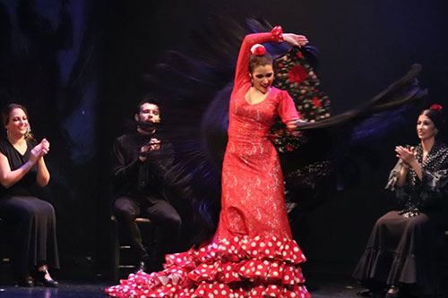 seville-flamenco Flamenco Dancer