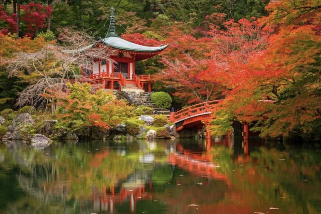 fall-garden Fall foliage